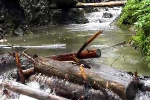 Turisti kritizujú Slovenský raj: Za vstupné platíme 1,50€ a nájdeme rozpadajúce sa rebríky54