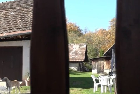 Spoločný majetok skomplikoval susedské vzťahy. Dôchodca a jeho sused policajt skončili v nemocnici