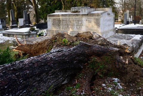Martin_cintorín_veterná smršť_zničené hroby 2