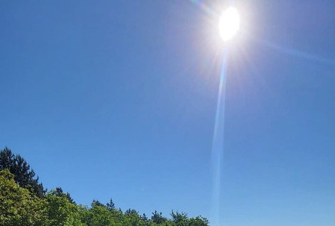 Nehoda autobusu a kamióna