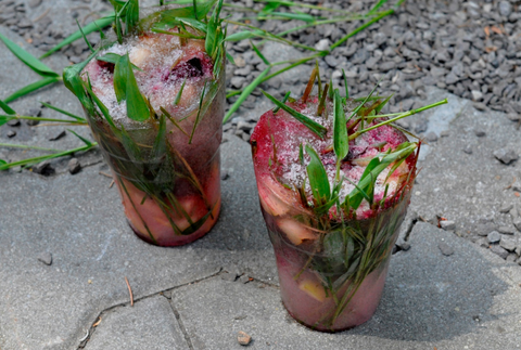 Ako zvládajú horúčavy zvieratá v ZOO? Dostavajú nanuky aj sprchu 