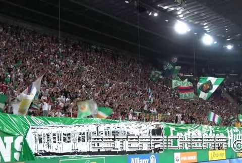 ULTRAS RAPID WIEN653