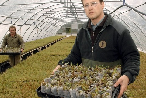 kalamita vysoke tatry a dosledky 2