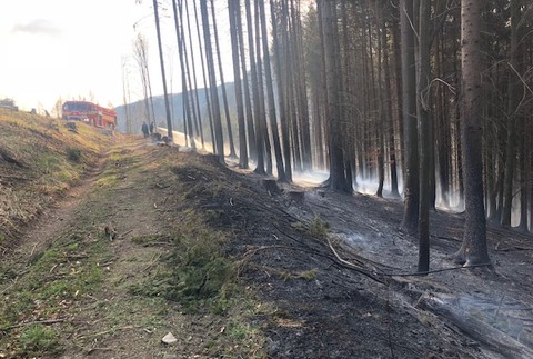 Plamene zachvátili viaceré časti lesa. Hasiči zasahujú na 6 miestach naraz