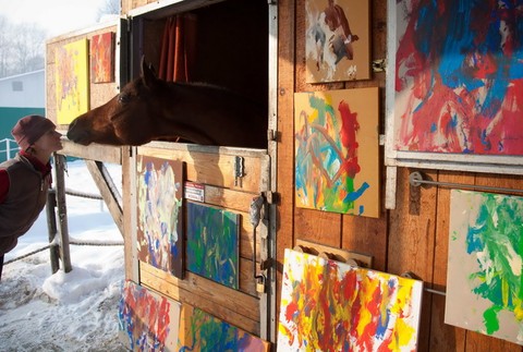 Kobyla Maceba v stajni, obrazy, ktoré nakreslila