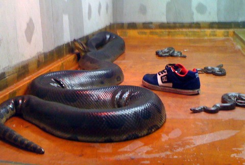 Connor and Noah Barth bratia Campbellton 2