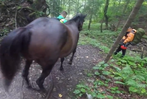 Horskí záchranári takúto akciu ešte nezažili. V Malej Fatre zachraňovali jazdecké kone