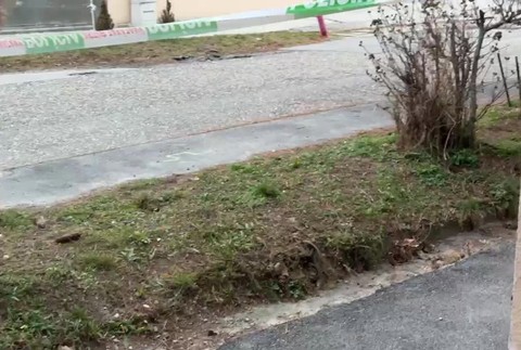 [multi] VRAZDA_RUZINOV 3421