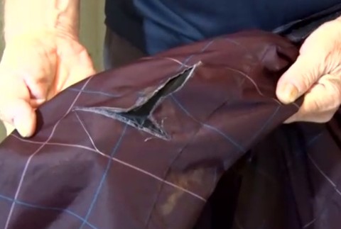 Neďaleko Bojníc zaútočil na dôchodcu medveď. Mužovi zachránila život jediná vec