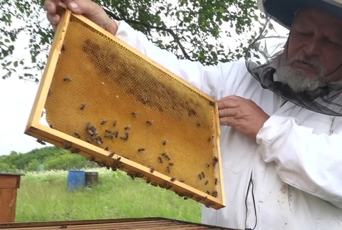 [multi] 061424MCJ 3990