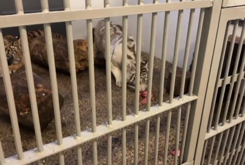 [multi] 042424KNF 87