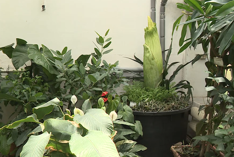 Screenshot 2024-07-27 083953