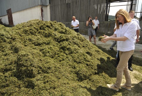 Gabriela Matečná na družstve