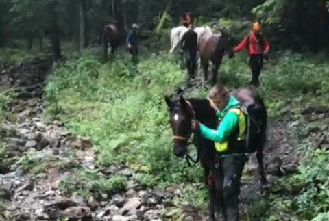 Horskí záchranári takúto akciu ešte nezažili. V Malej Fatre zachraňovali jazdecké kone