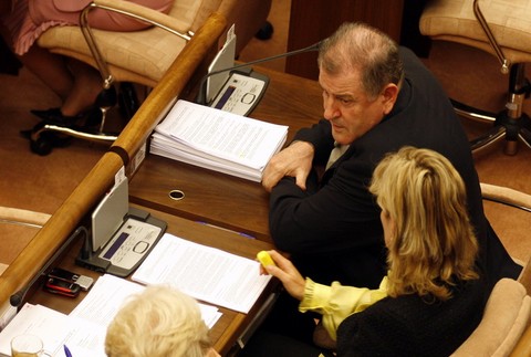 Meciar Tothova v NR SR