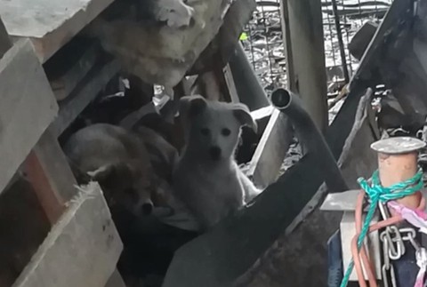 Muž vyniesol z auta škatuľu a odišiel. Svedkyňa ale zbadala, že nebola prázdna