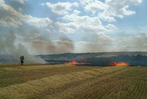 Polia v dedine pri Piešťanoch zachvátil obrovský požiar. Polícia premávku zastavila