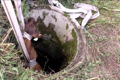 [multi] Celá záchrana teliatka 1831