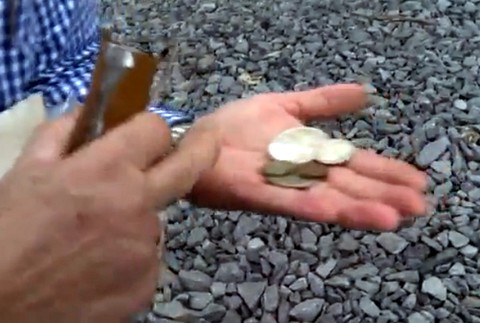 V USA našli slovenské poznámky a mince 3