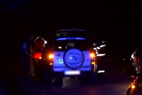 Na rizikovom úseku pri Kežmarku vbehol vodičovi do cesty srnec