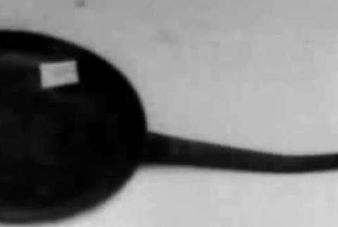 Ukradnutá palacinkáreň