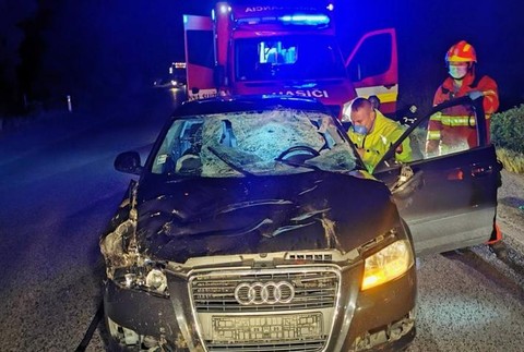 Vodič skončil v nemocnici po zrážke s jelenicou.