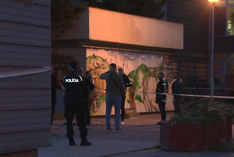 strelba dubravka (5)