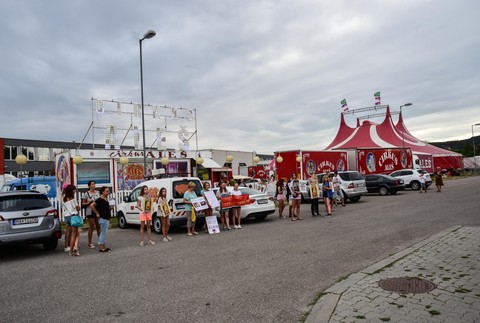 Protest proti cirkusu 