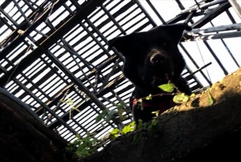 Záchranený psík sám záchranárom 