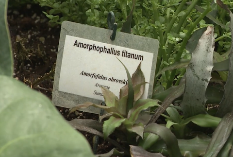 Screenshot 2024-07-27 083942