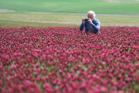 pole03_25_5_2024045916