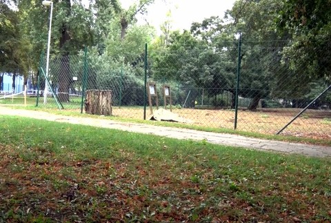 V Nitre uhynul Daniel škvrnitý