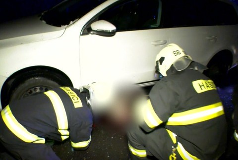 Jelenica sa vynorila z tmy. Mladý pár zrážke nedokázal zabrániť