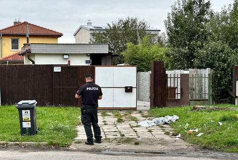 Incident domácnosť (2)