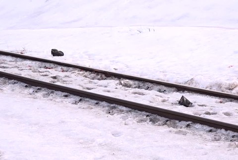Tragický víkend na koľajniciach. Telá dvoch mužov našli okoloidúci