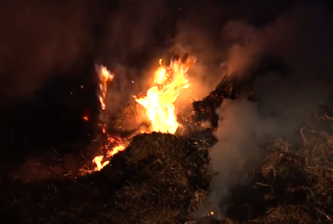 Screenshot 2024-07-26 124843