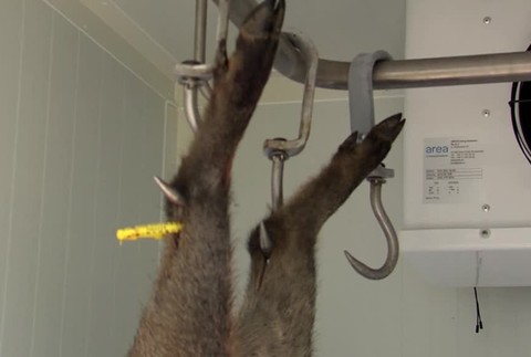 [multi] Polovnici vynimka 3761