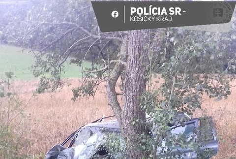 381015714_706253518211399_3409232042046581684_n