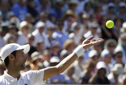 Novak Djokovič, Wibledon