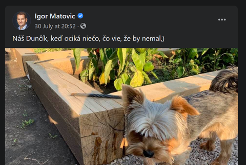 Politici na sociálnych sieťach