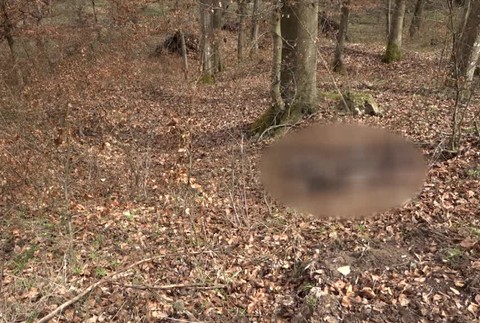 [multi] Vyhodené zvieracie pozostatky 1115