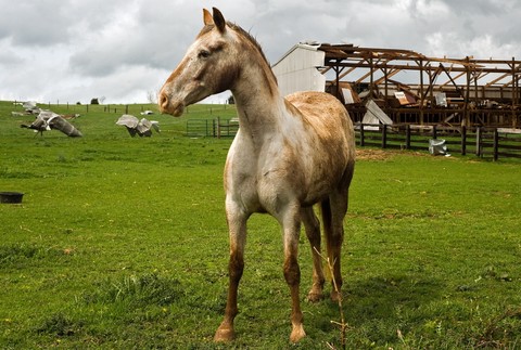 Následky série ničivých Tornád v USA