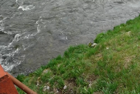 Screenshot 2024-04-17 140705