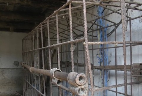 Na Slovensku prebehla veľká prasacia amnestia.