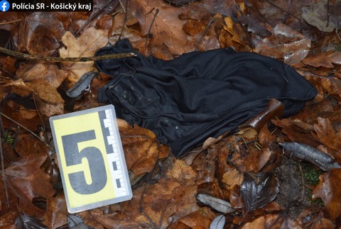 Kuriózna lúpež pri Trebišove.