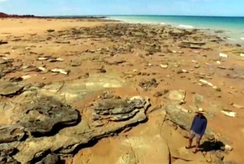 Austrália stopy dinosaurus 2