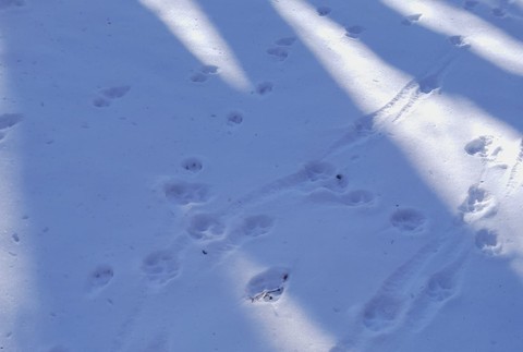 334459179_223598053366203_5125593594121472407_n