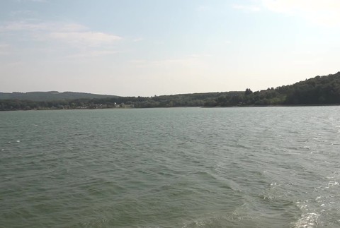 [multi] 082724WVP 366