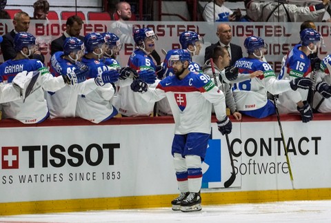 Francúzsko - Slovensko 4