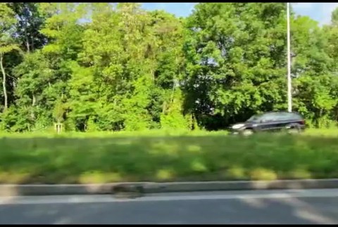 [multi] afganci. 7028